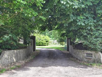 Picture 36